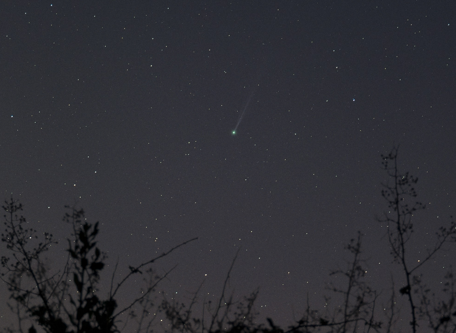 Comet SWAN
