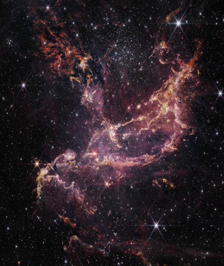 JWST image of NGC 346