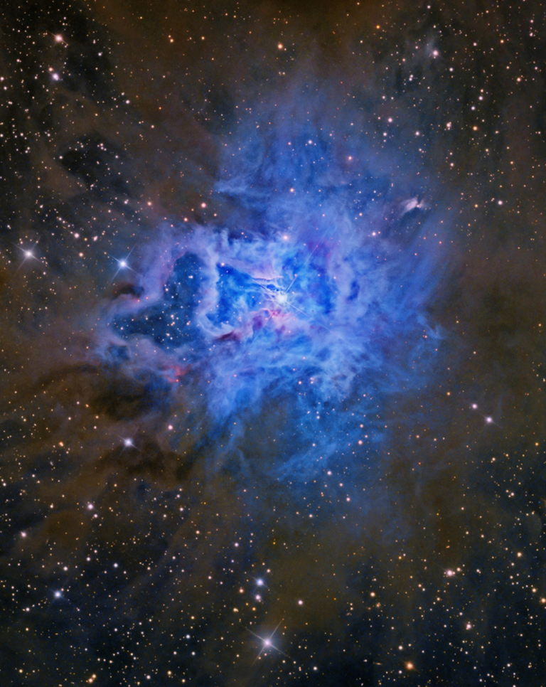 The Iris Nebula