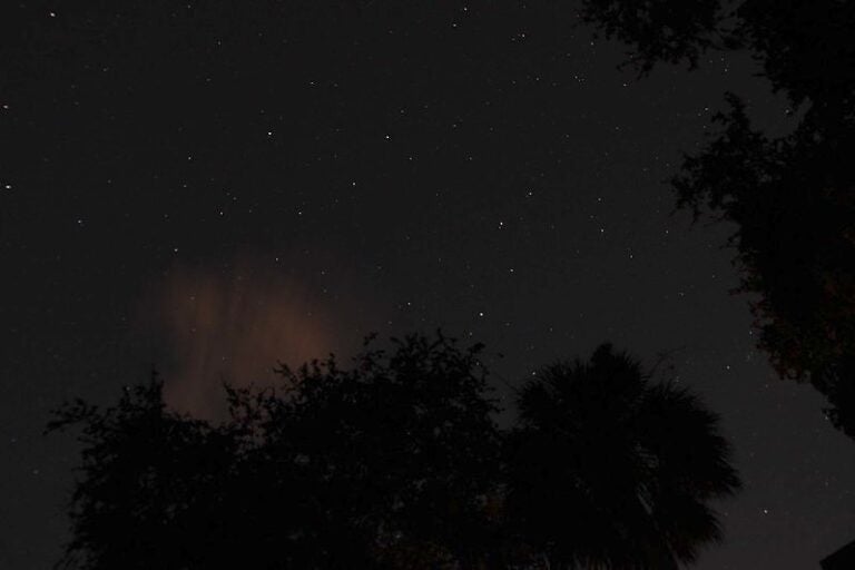 the constellation Leo