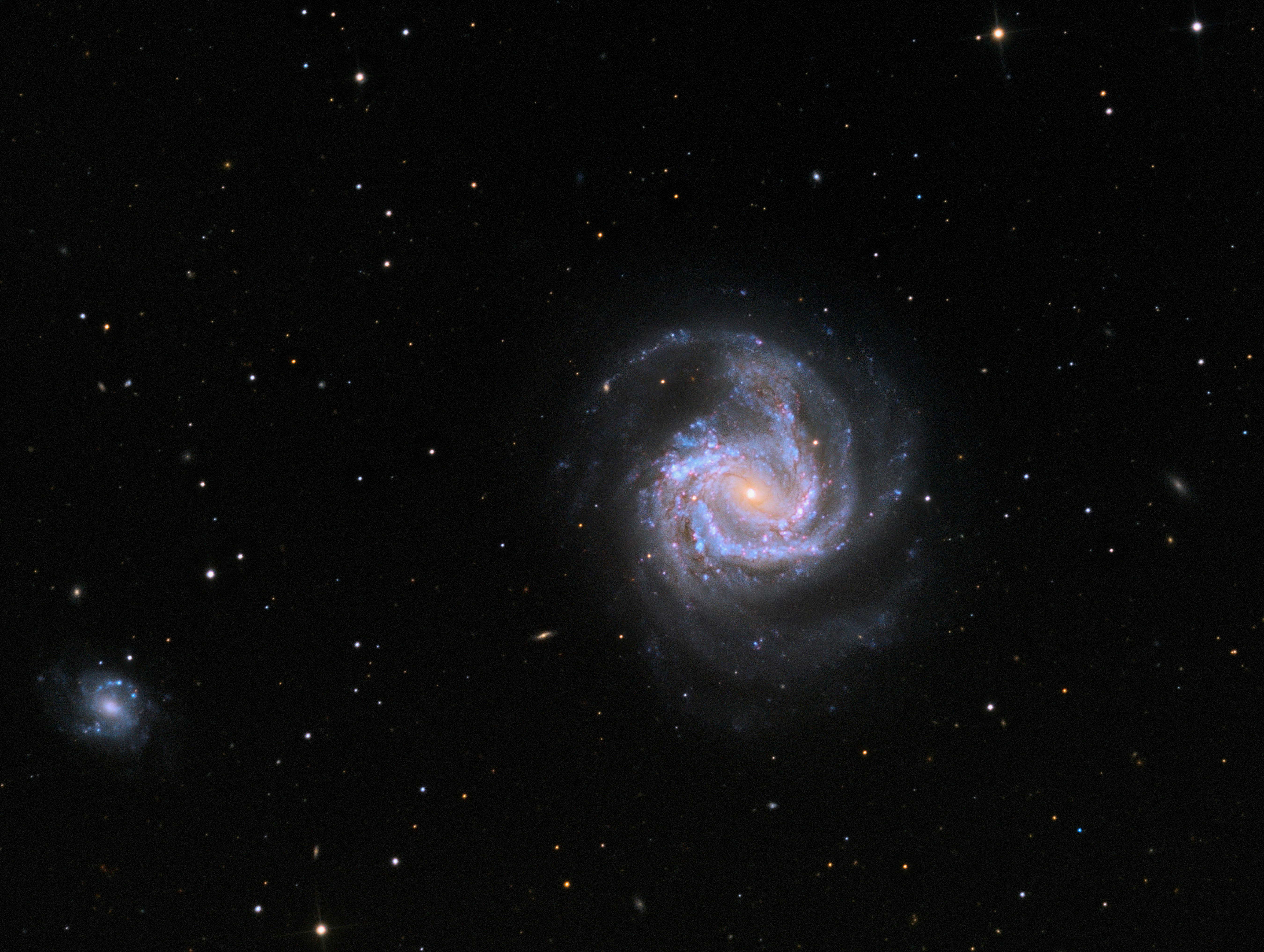 M61
