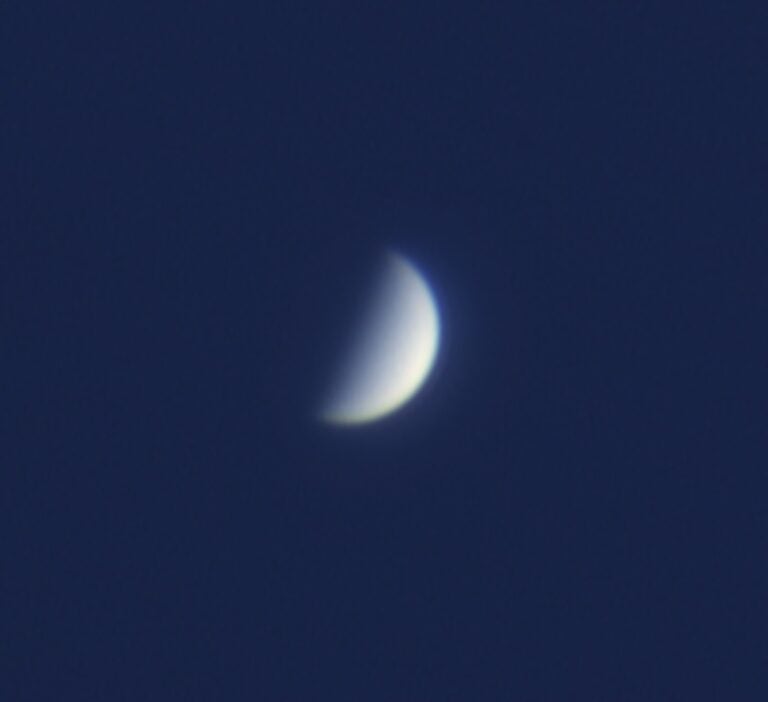 Venus near dichotomy