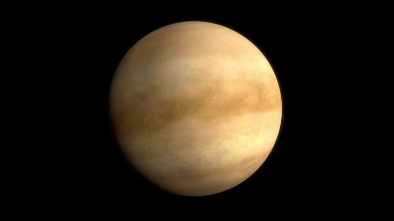 the planet Venus