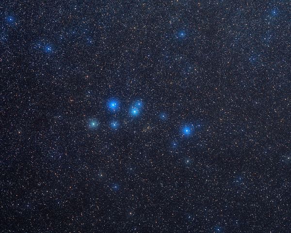 The constellation Delphinus