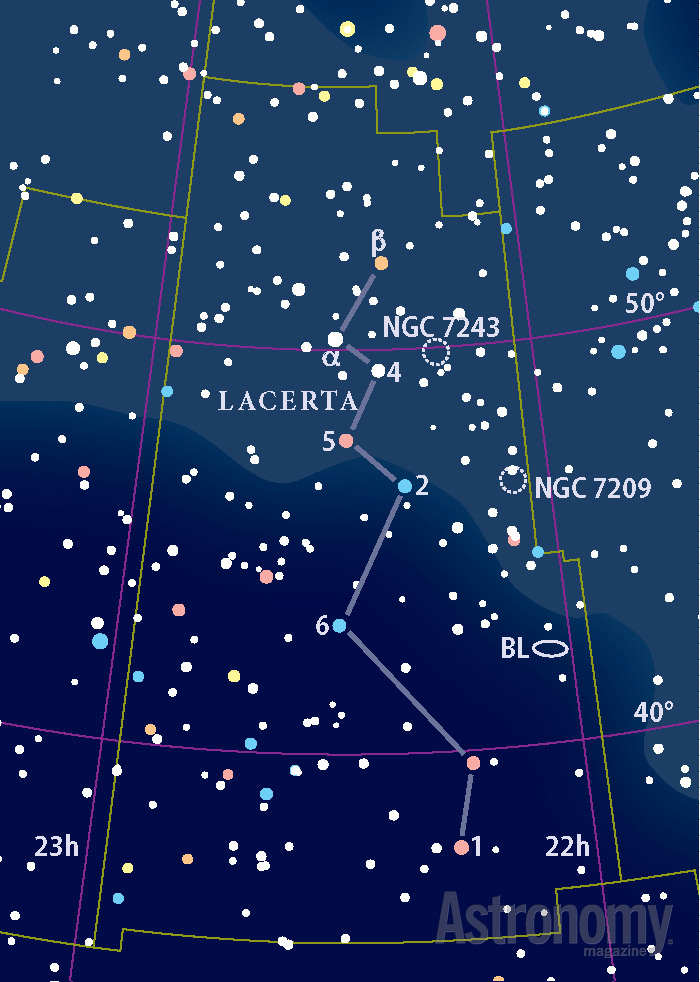 Lacerta