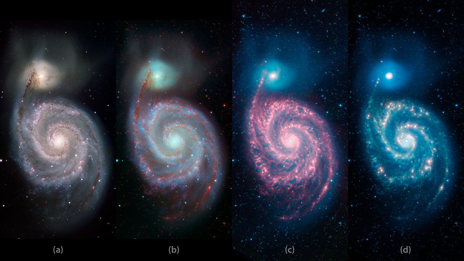 View the Whirlpool Galaxy in changing colors | Astronomy.com