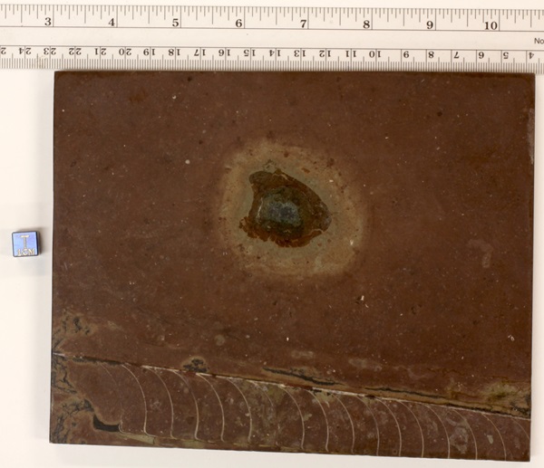 ARK0181189x152x11obv2