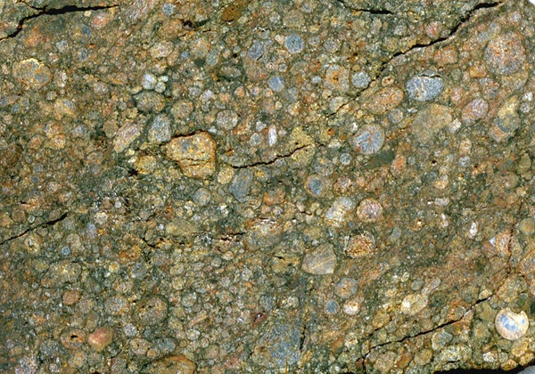 Ordinary_chondrite_NWA_3189_Meteorite