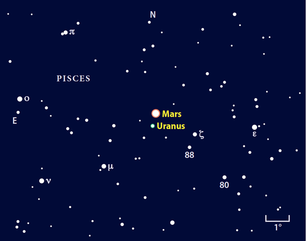 ScreenShot20161229at10.51.09AM