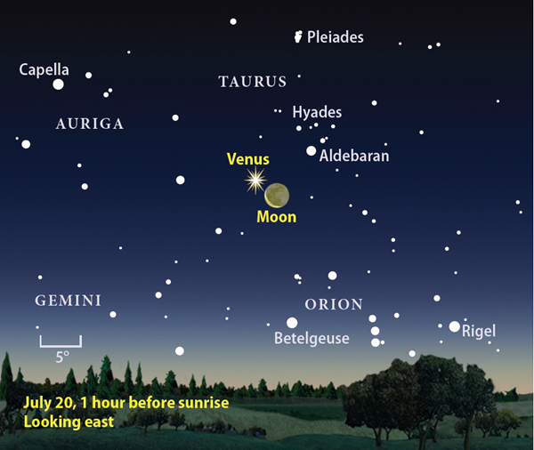 ScreenShot20170530at2.22.26PM