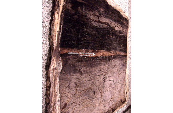 5090097984_a36b382629_k