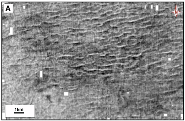 Screen_Shot_20210716_at_11.16.11