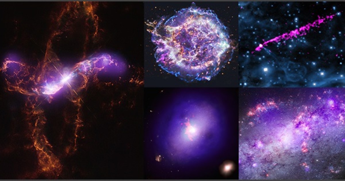 Snapshot: A study in stellar objects