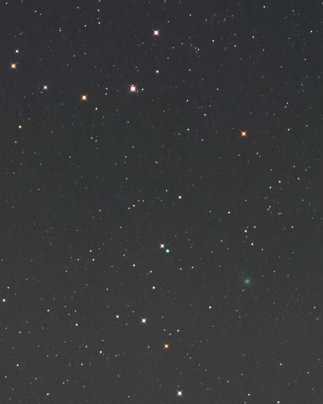Comet Nishimura on 