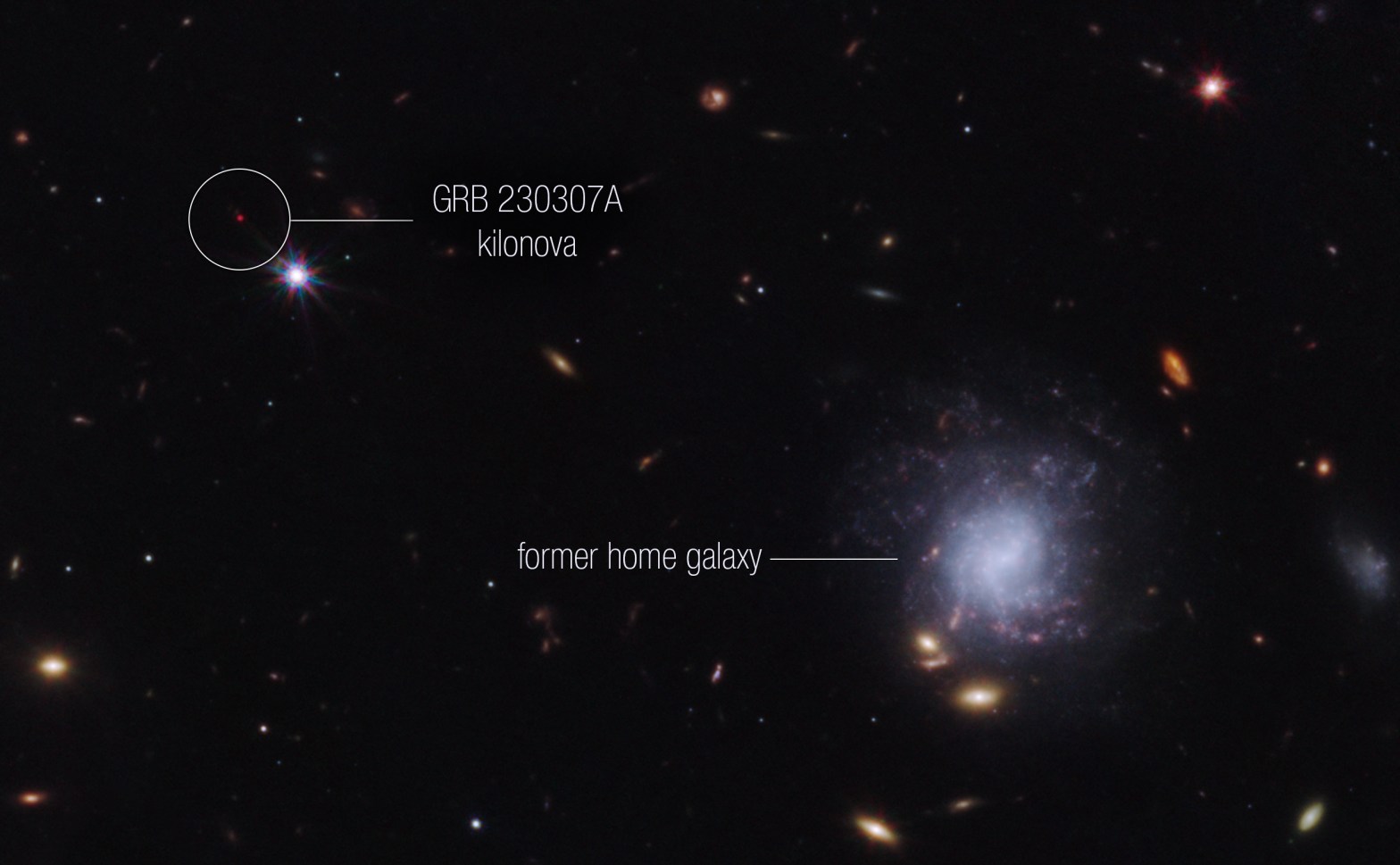 Scientists used NASA’s James Webb Space Telescope to observe an exceptionally bright gamma-ray burst, GRB 230307A, and its associated kilonova — an explosion produced by a neutron star merging with either a black hole or with another neutron star. Credit: NASA, ESA, CSA, STScI, Andrew Levan (IMAPP, Warw)
