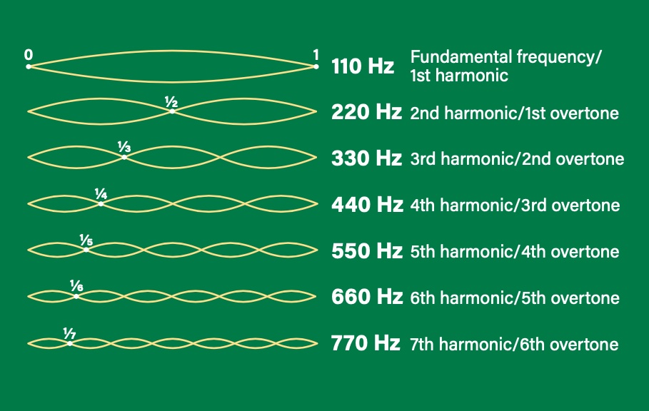 This illustration shows how a string that is anchored at both ends (such as on a guitar) resonates when plucked. Not only does the entire string vibrate at the fundamental frequency, but also in halves, thirds, and so on, creating overtones. Here, the first seven harmonics are shown, based on A as the fundamental.