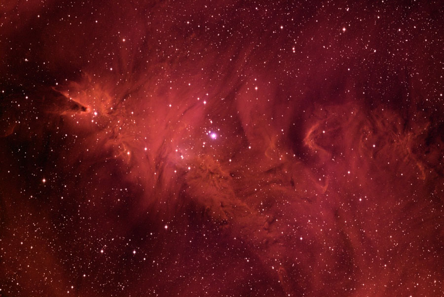 Open cluster NGC 2264
