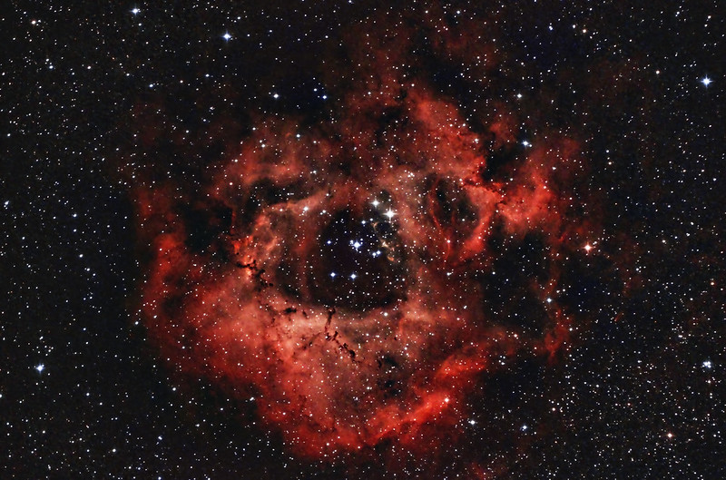 The Rosette Nebula