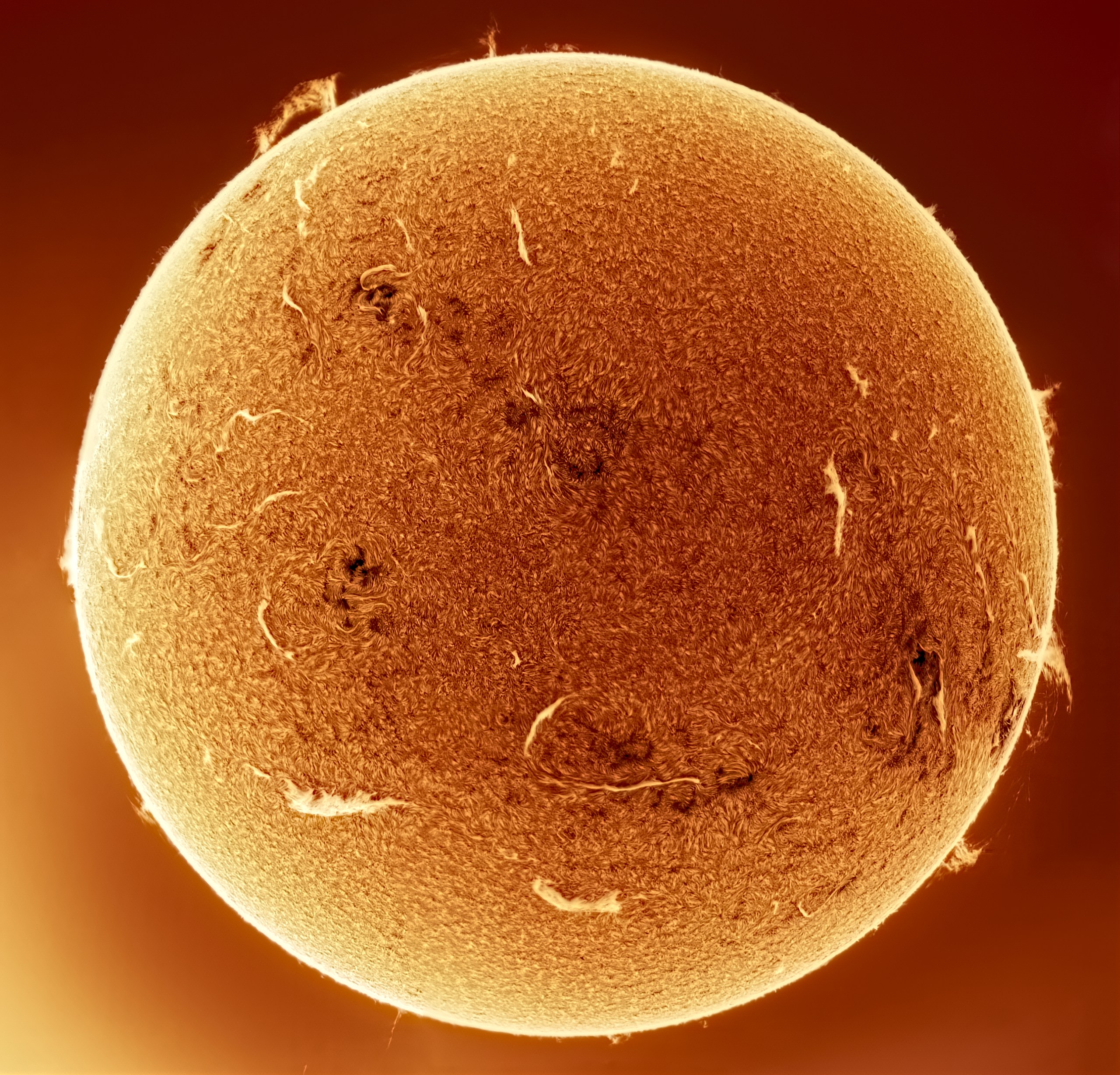 The Sun in inverted 540nm light