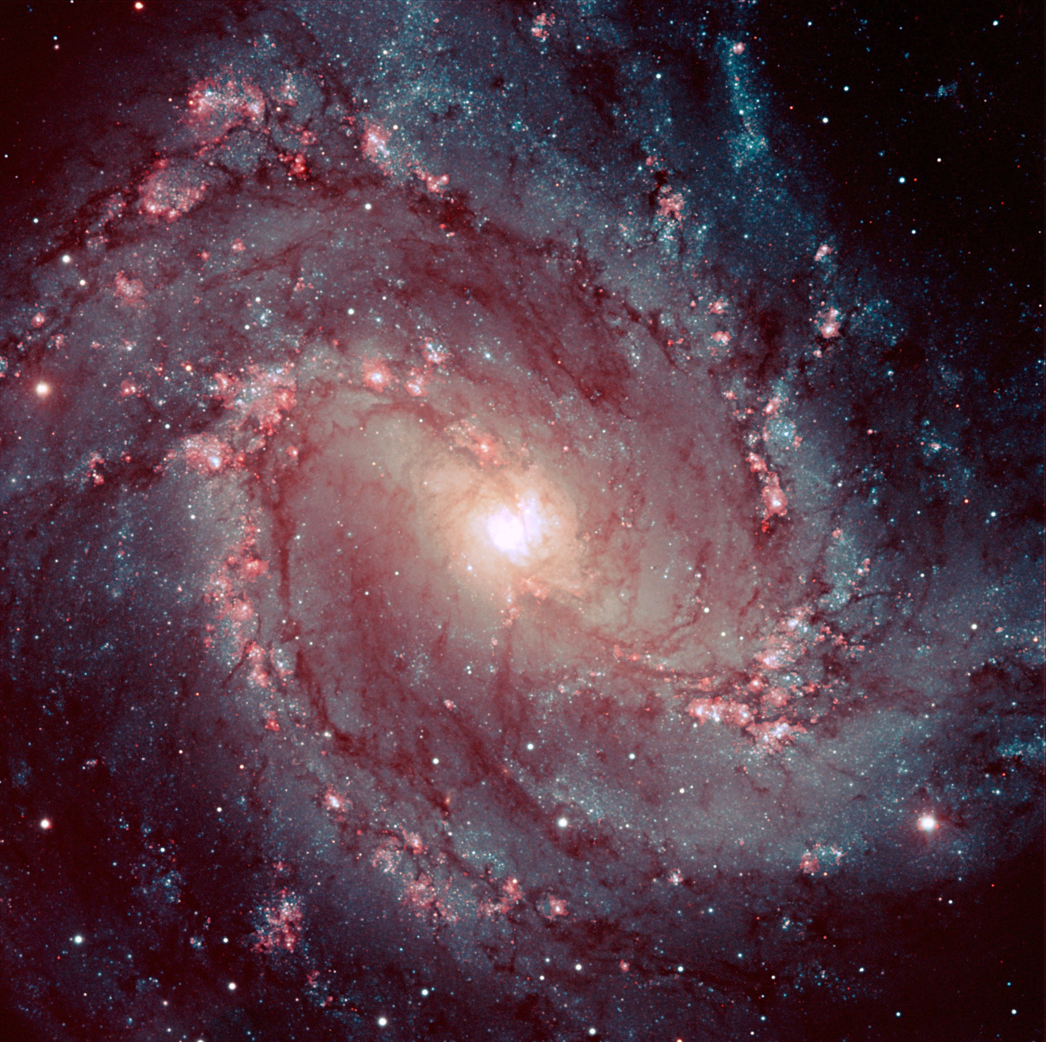 The beautiful spiral galaxy Messier 83, which our Milky Way may resemble.