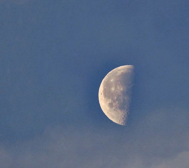 Last Quarter Moon