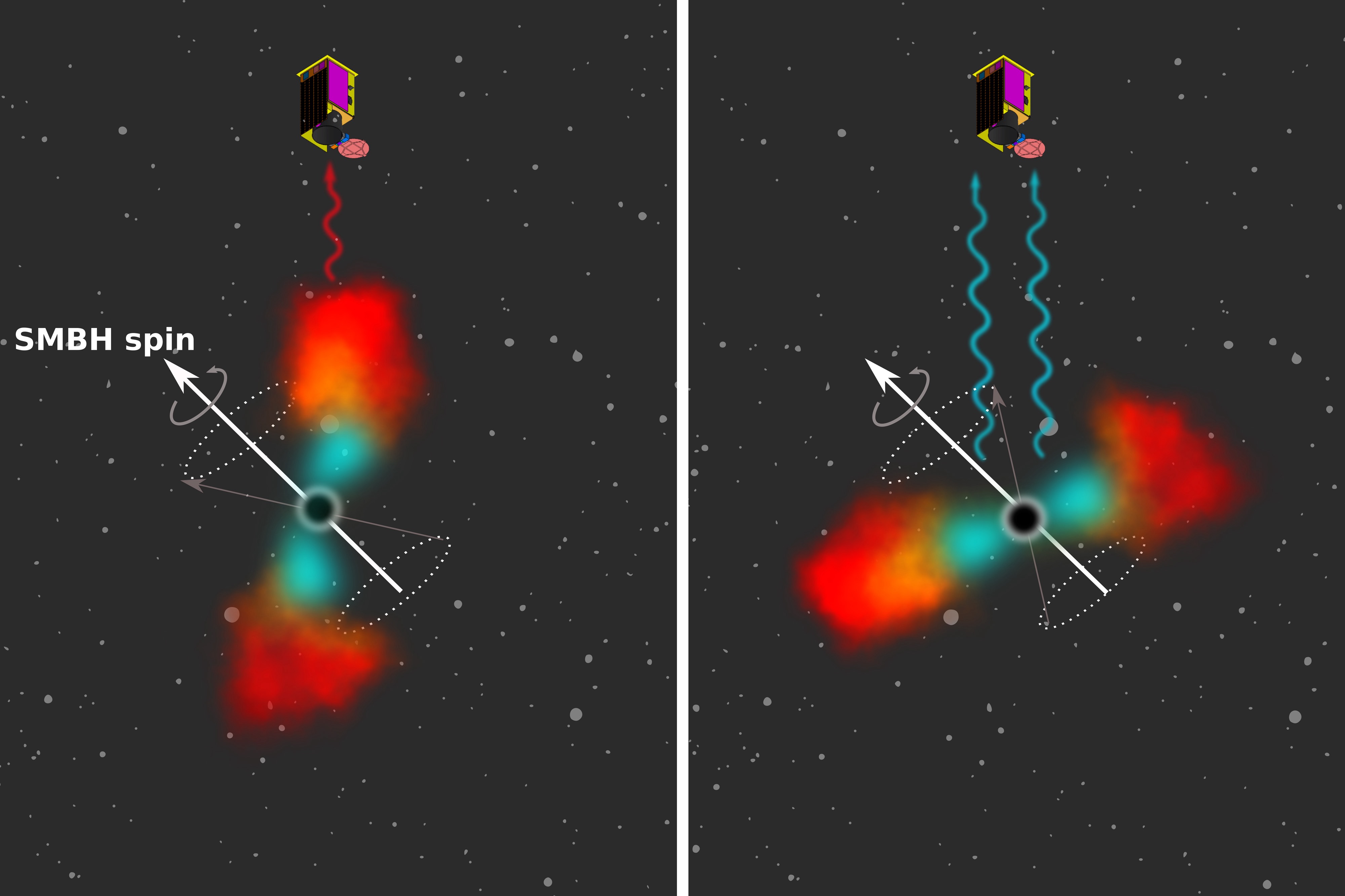 This schematic figure depicts the precession of an accretion disk formed from the debris of a disrupted star around a supermassive black hole (SMBH). The left panel shows the precession phase when the accretion disk is close to an edge-on configuration, which results in the smaller disk area being observed and thus lower luminosity. The observer can see mostly the colder, outer parts of the precessing disk. The right panel depicts a nearly face-on precession phase, when the visible disk area is larger and hence the luminosity also increases. The inner, warmer parts of the disk are then fully exposed. Credit: MIT/Study researchers.