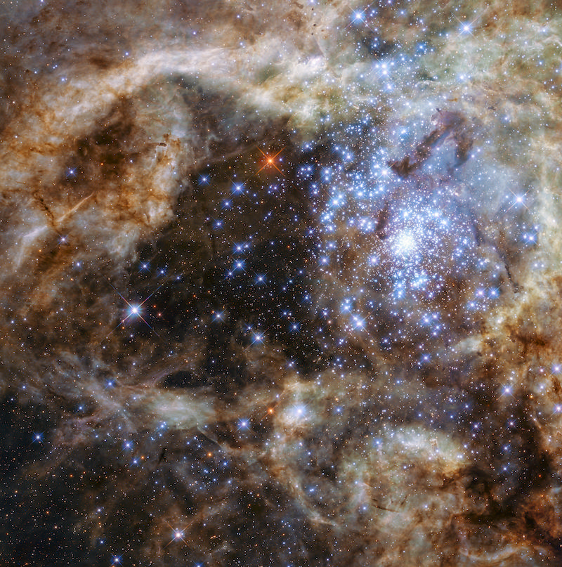 Star Small Rays Why does the universe make so many tiny stars?