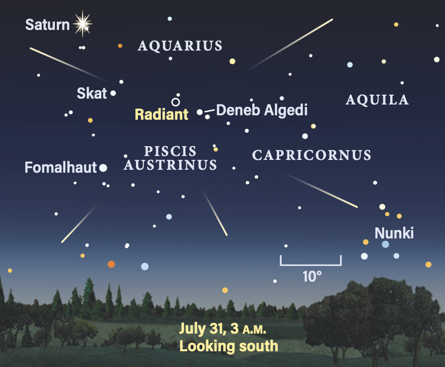 Peak of the Southern Delta Aquariids 2024
