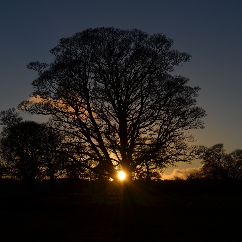 The sky during the solstice