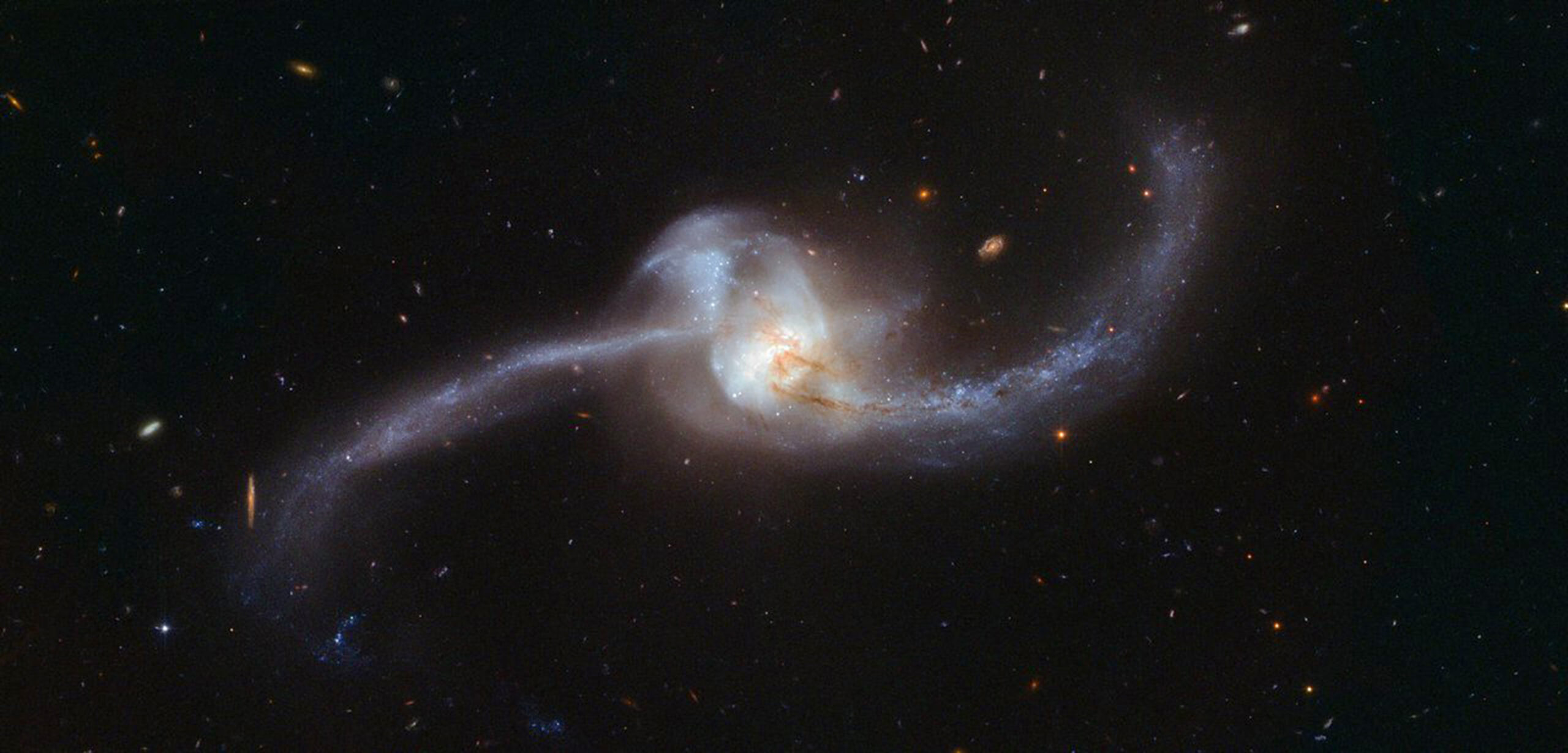 Survivors from the Milky Way's birth