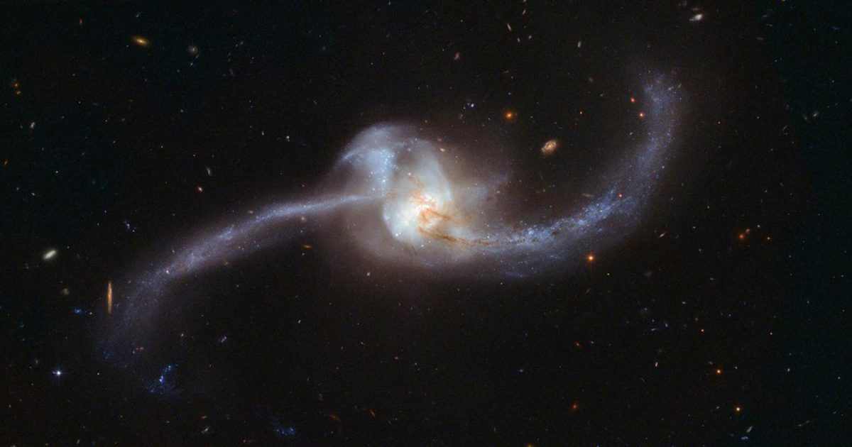 Survivors from the Milky Way's birth