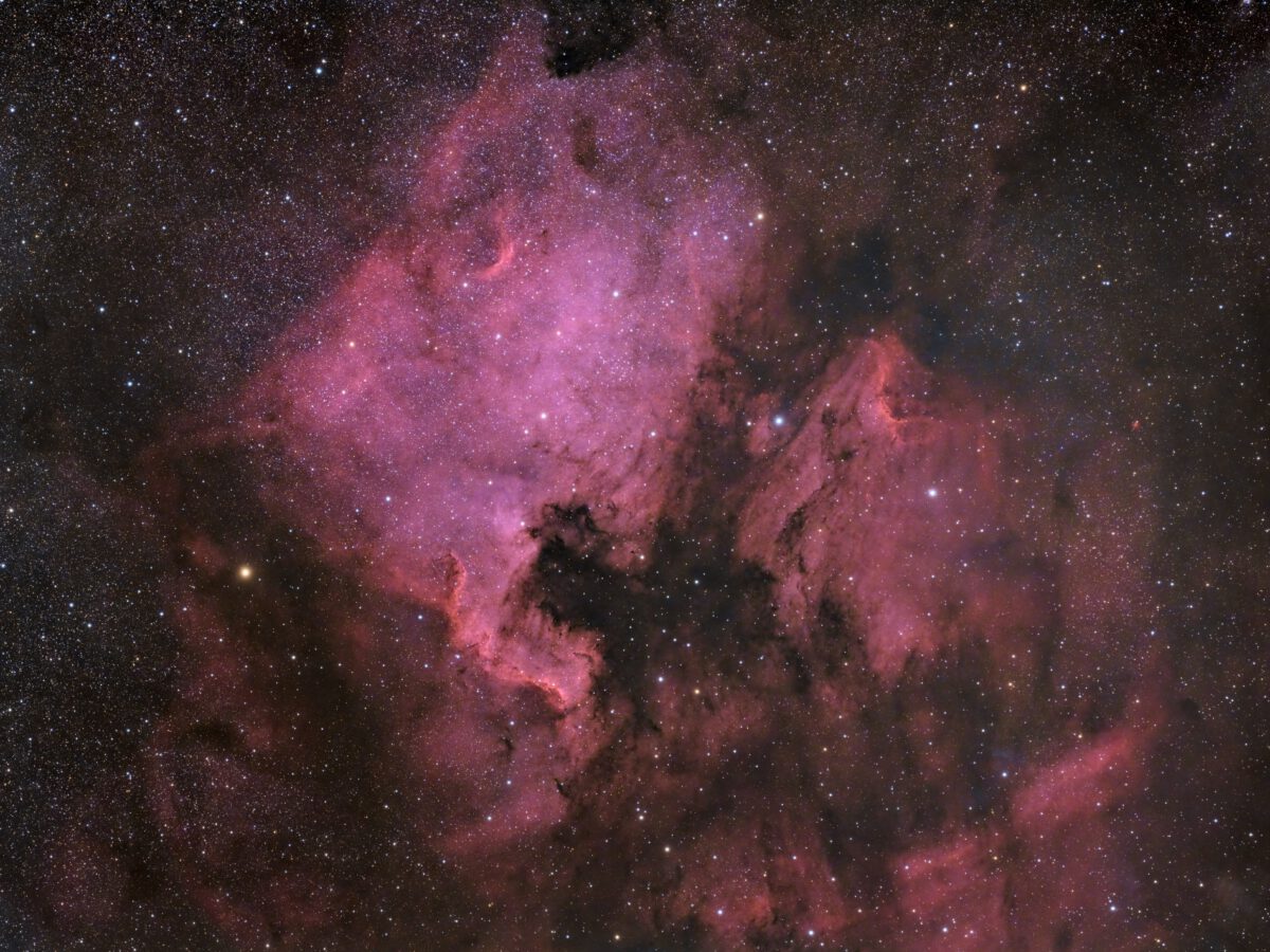 Two glowing, red-magenta clouds of hydrogen gas — emission nebulae — lie in the frame. On the left lies the North America Nebulae (NGC 7000), appearing in the shape of the North American continent. On the right is the Pelican Nebula (IC 5070), appearing like the head of a pelican seen in profile.
