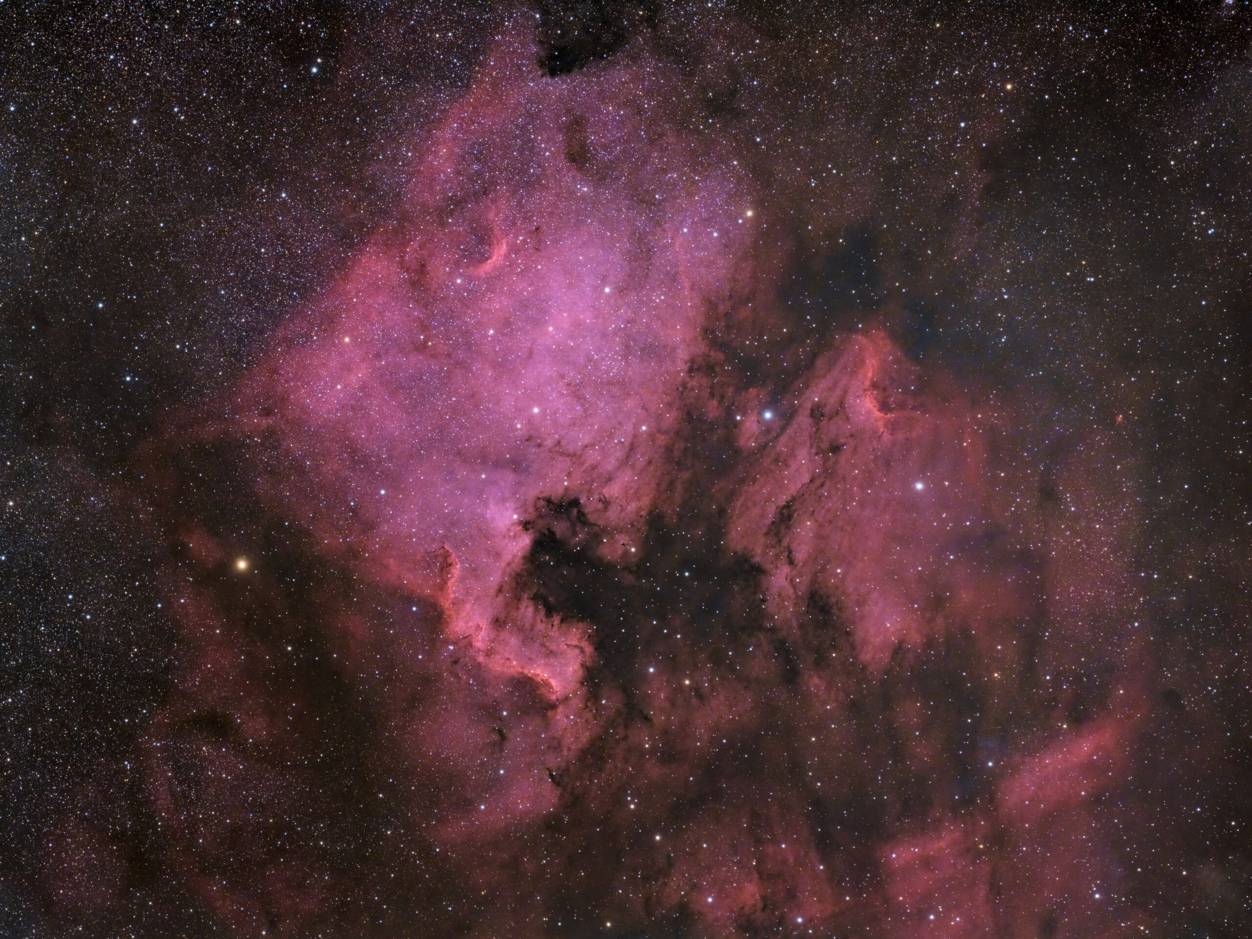 Two glowing, red-magenta clouds of hydrogen gas — emission nebulae — lie in the frame. On the left lies the North America Nebulae (NGC 7000), appearing in the shape of the North American continent. On the right is the Pelican Nebula (IC 5070), appearing like the head of a pelican seen in profile.