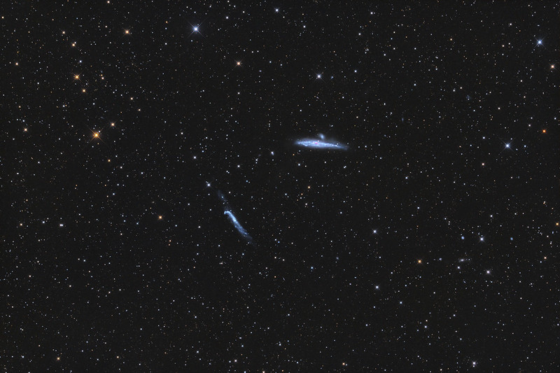 The Whale and Hockey Stick galaxies