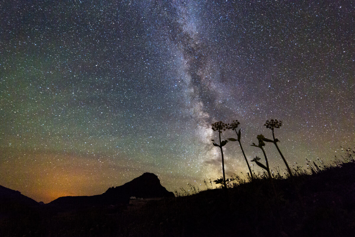  The question of whether Earth is the only planet with life is a big one. Although we don’t yet know the answer, we suspect we are not alone — even if we may never contact other civilizations because the cosmos is so vast. 