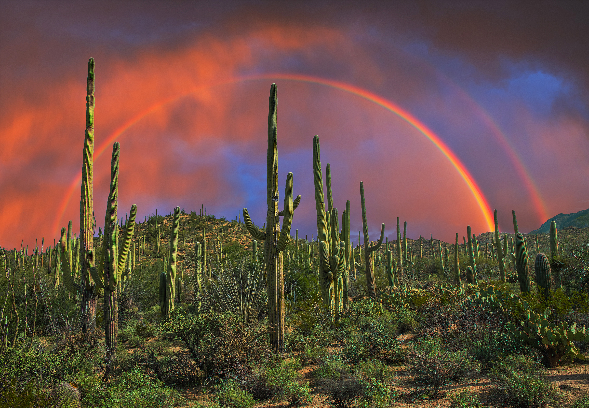 rainbow·˖*プロフご一読下さい(*´艸`)他の方は購入不可‼ Explore the science of rainbows