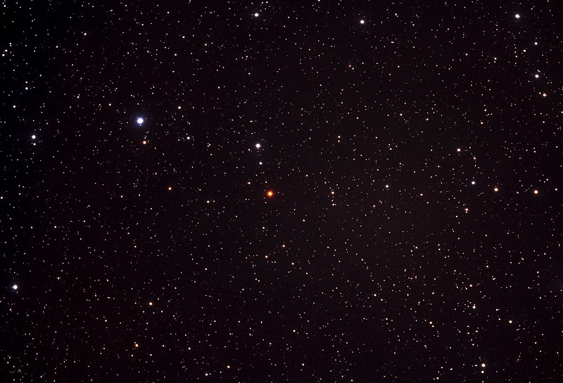 Hind's Crimson Star