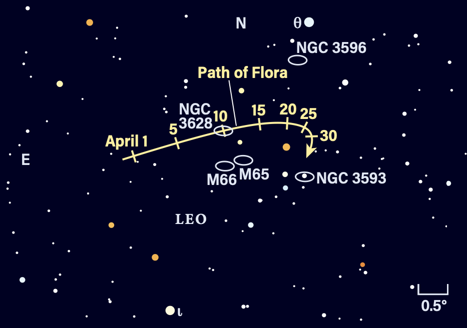 Path of asteroid Flora in April 2025