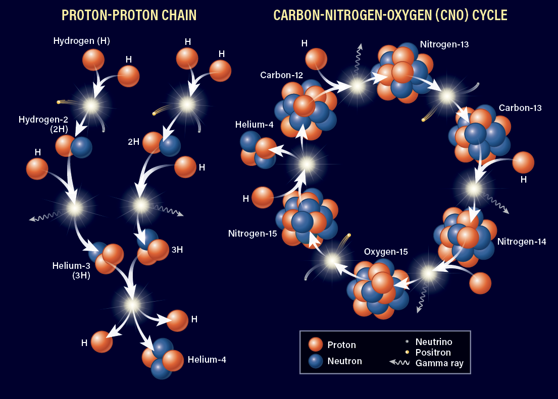 Diagrams showing the proton-proton chain and CNO cycle for fusion