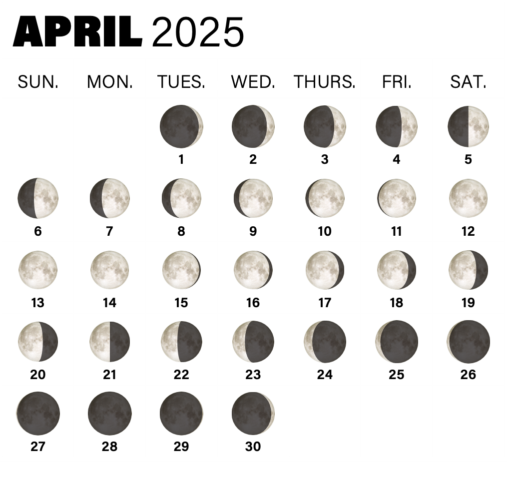 Phases of the Moon in April 2025