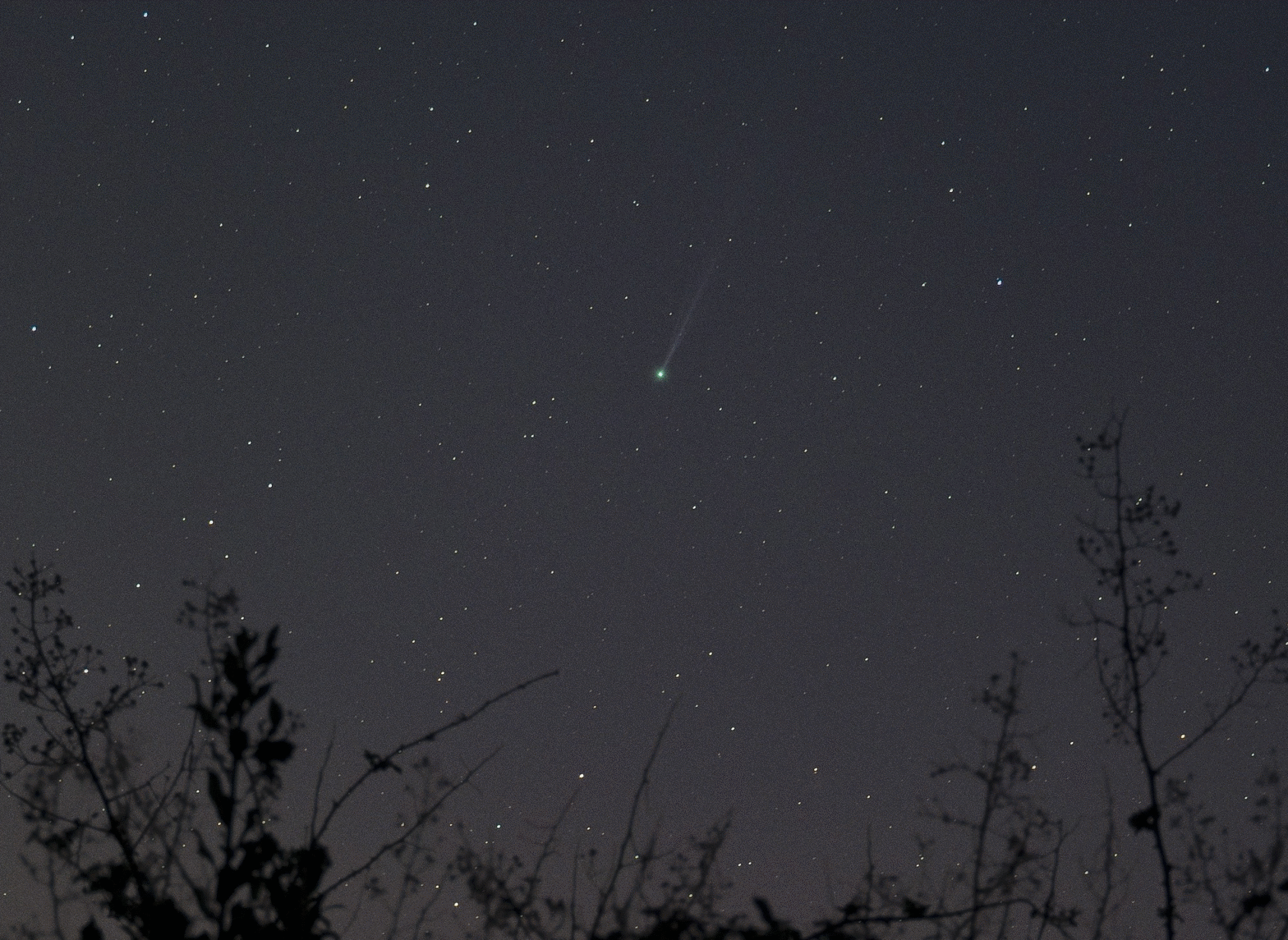 Comet SWAN