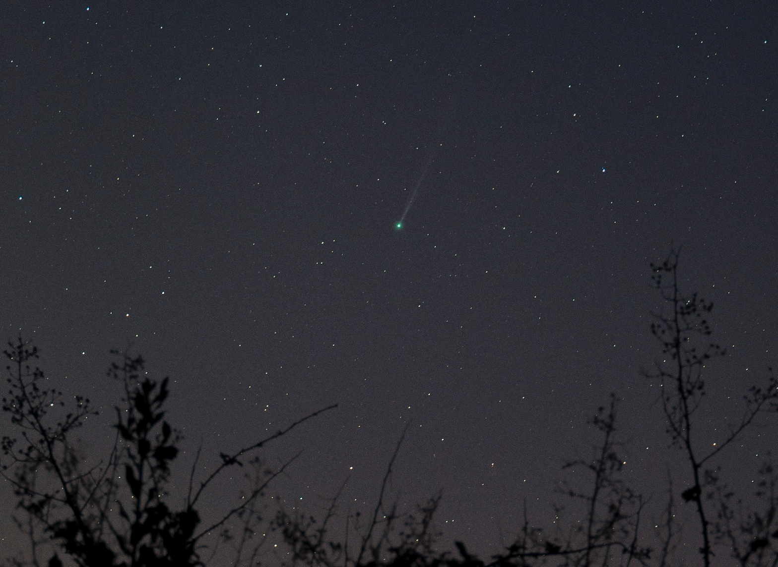 Comet SWAN