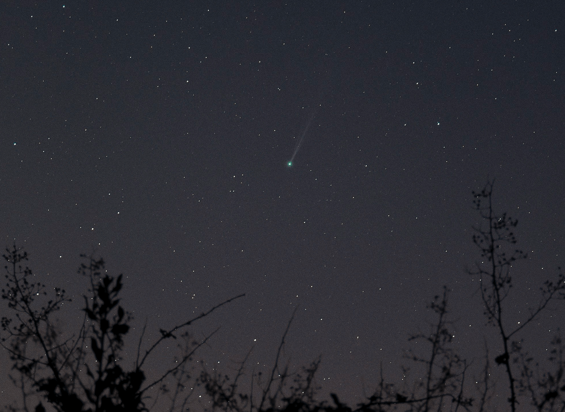 Comet SWAN