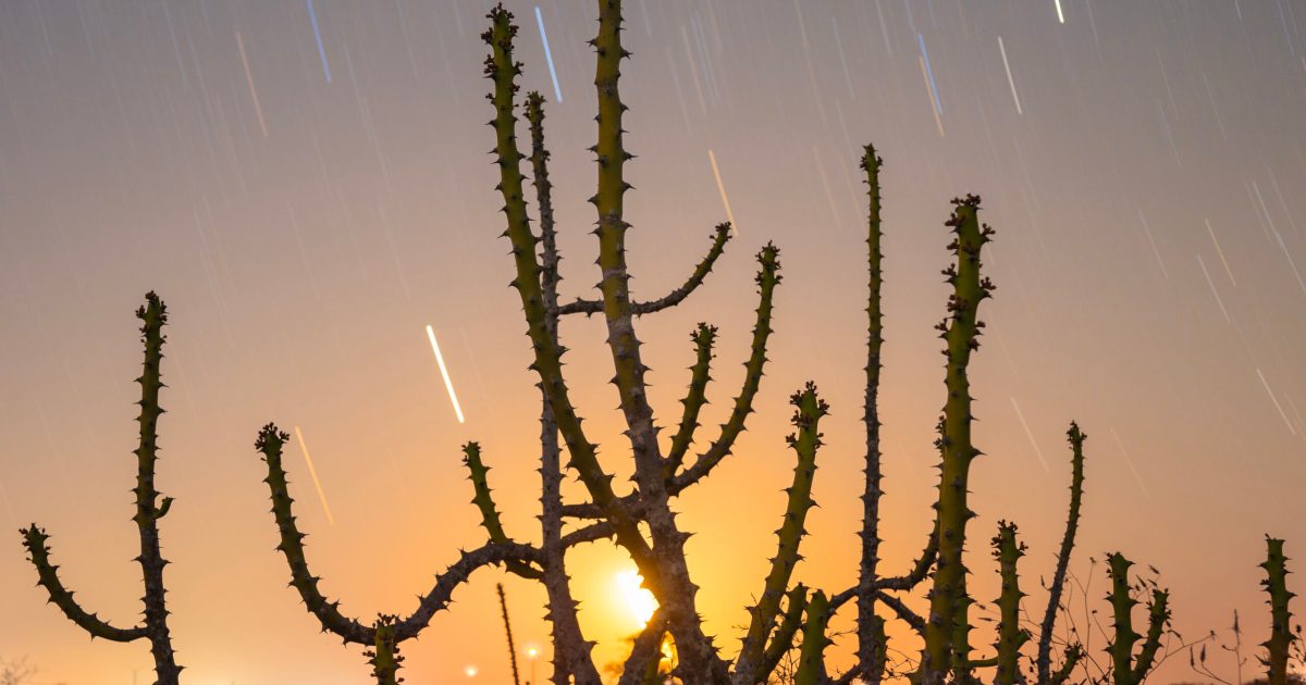 Kickstart summer with these new astronomy products