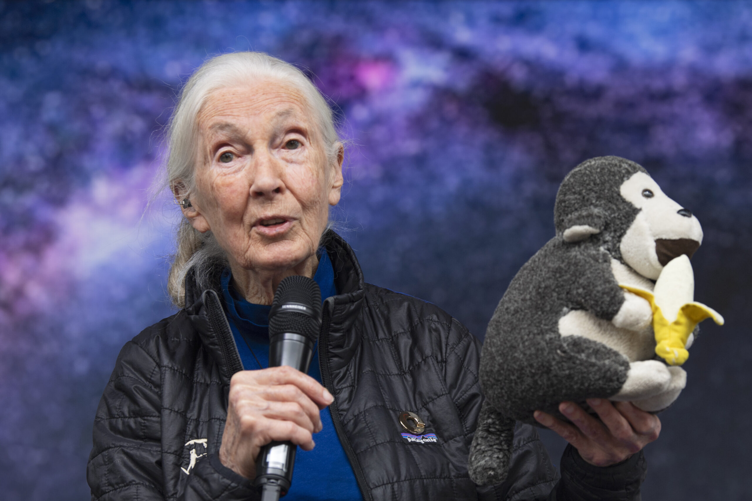 Starmus unveils the design of the Jane Goodall Earth Medal