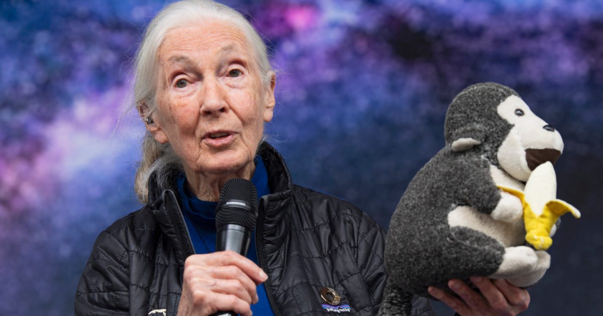 https://www.astronomy.com/wp-content/uploads/2025/05/JaneGoodall_StarmusLP_STA3909-copy-scaled.jpg?resize=1200,630