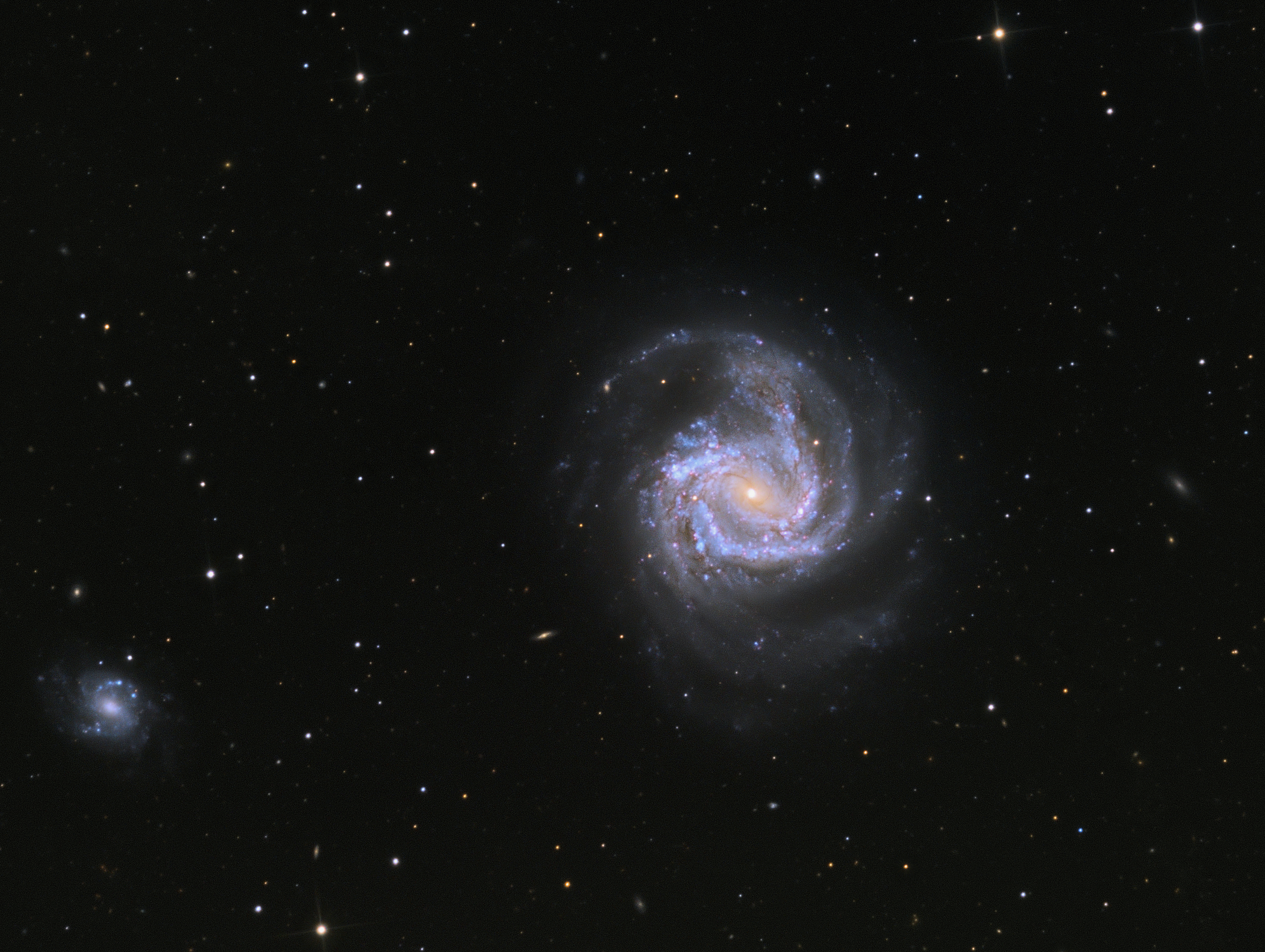 M61
