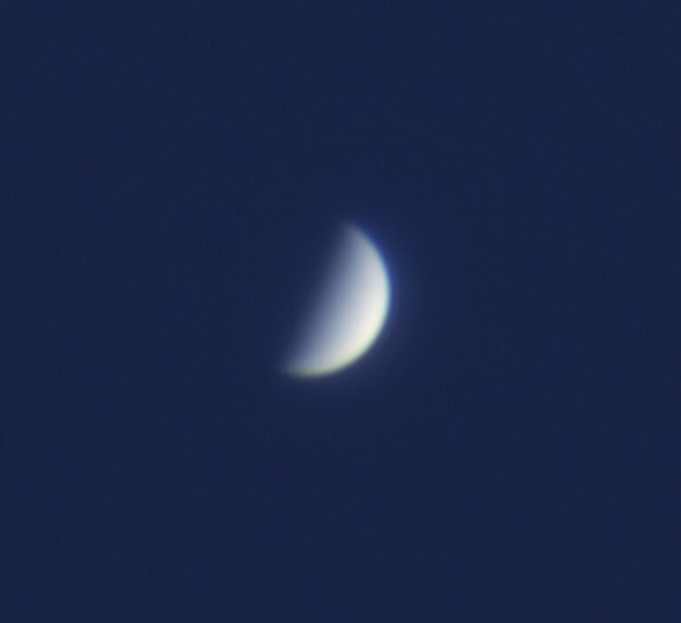 Venus near dichotomy