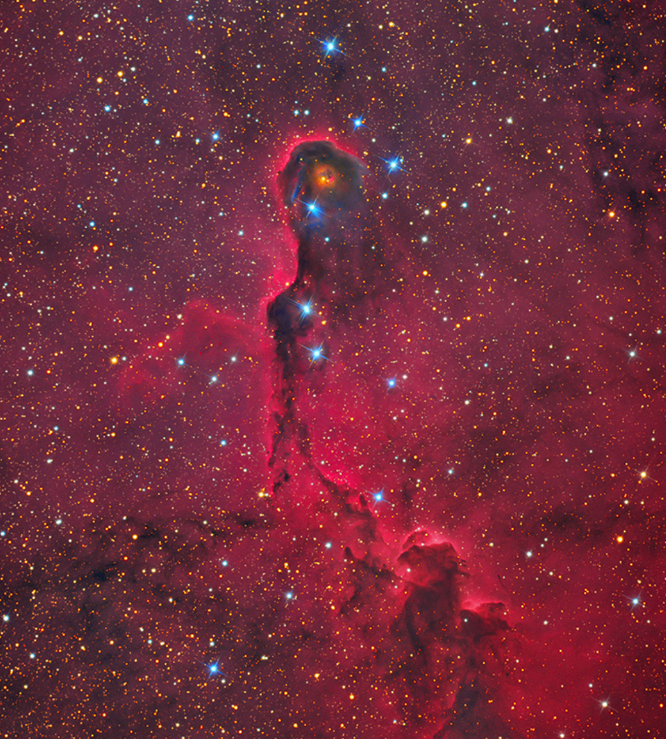 IC 1396, is a bright glow in Cepheus that contains several complex objects, including the Elephant Trunk, shown in this image as a tendril of back dust and red emission, appearing to rise vertically through the frame against a field of stars.