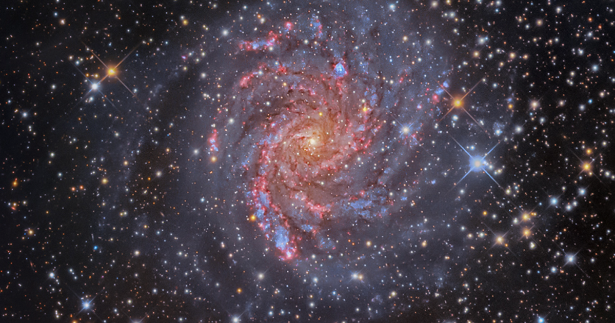 NGC-6946-Tony-Hallas.png?